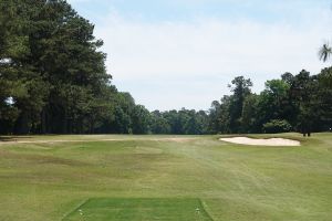 Palmetto 3rd